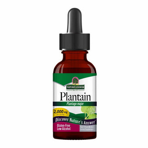 Nature's Answer, Plantain Leaves Low Alcohol, 2000 Mg, 1 Oz Nature's Answer