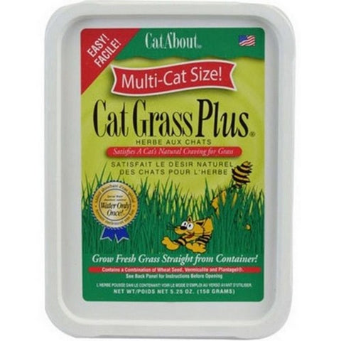 Gimborn, Gimborn Cat-A'bout Cat Grass Plus Multi-Cat, 1 count Gimborn